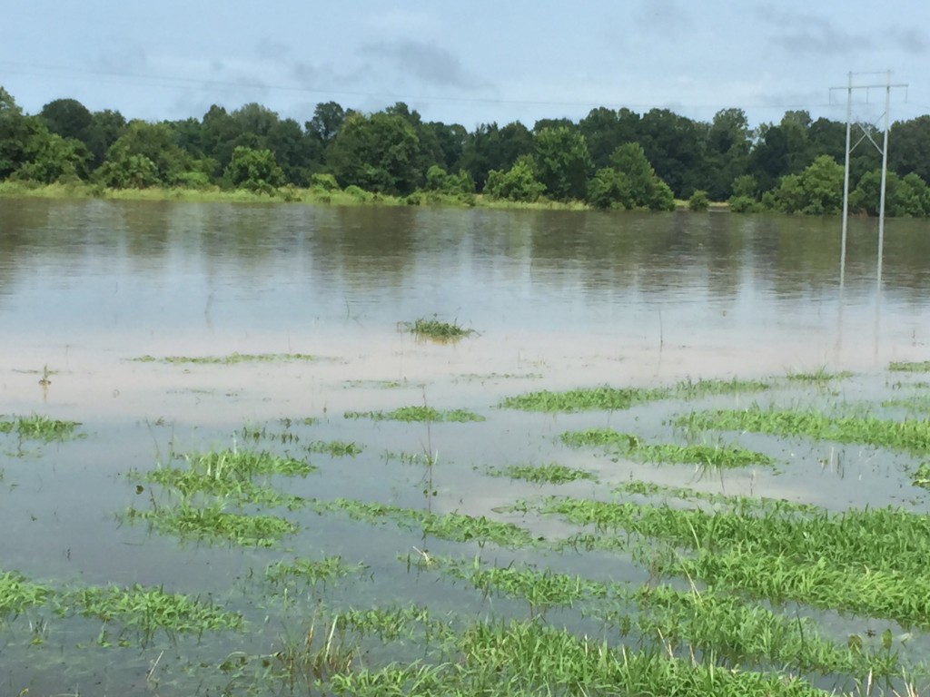 Clean Water Act National Agricultural Law Center